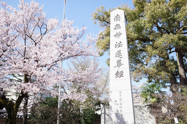 CHERRY BLOSSOM—Model of Way of Life HBS Believers Should Follow